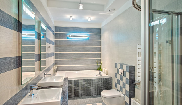 A zuhanyzó fejlődése