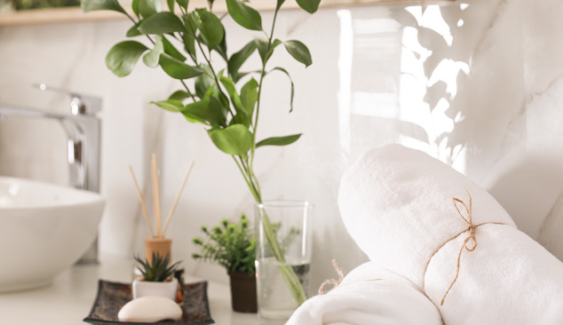 Milyen növényeket lehet a fürdőszobába tenni?